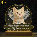 Custom Photo You Were My Favorite Hello - Memorial Gift For Pet Lovers - 3D Led Light Wooden Base