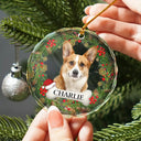 Custom Photo In Loving Memory Pet Memorial - Personalized Combo Circle Glass Ornament