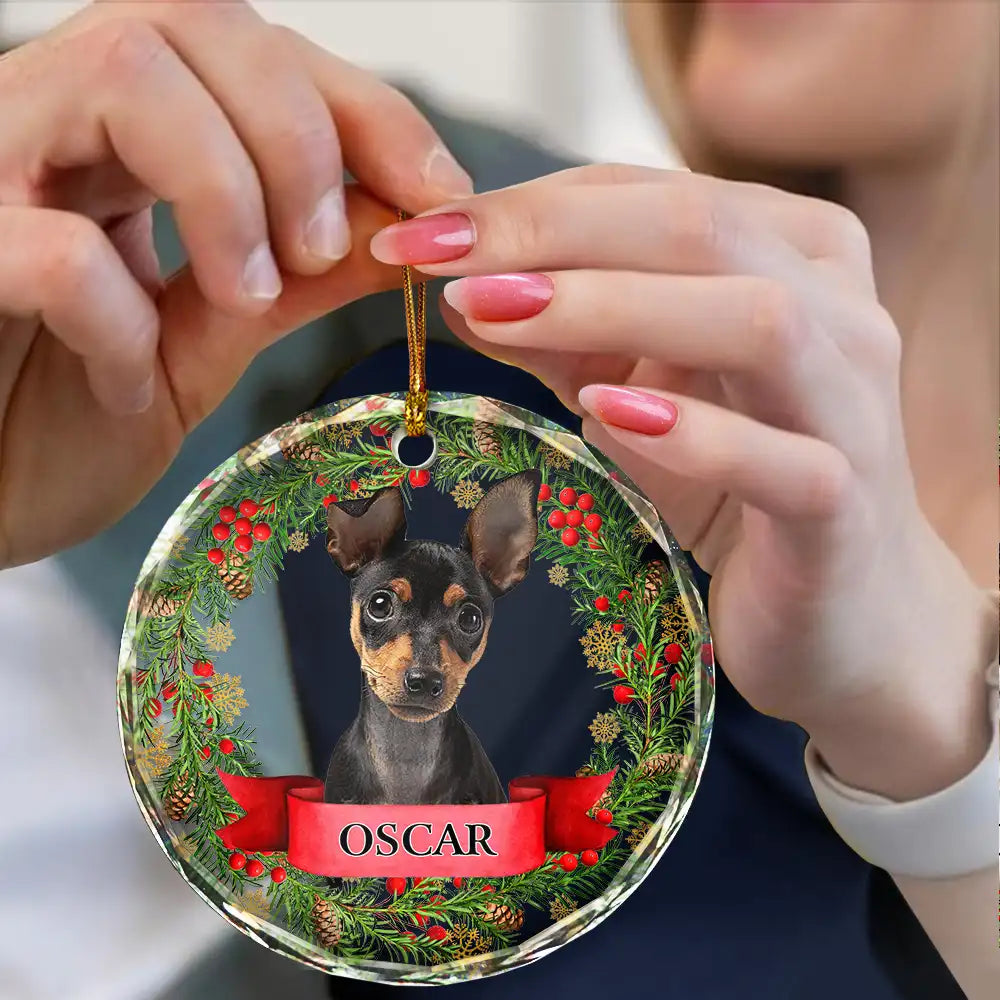 Custom Photo In Loving Memory Pet Memorial - Personalized Combo Circle Glass Ornament