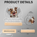 Custom Photo You Were My Favorite Hello - Memorial Gift For Pet Lovers - 3D Led Light Wooden Base