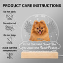 Custom Photo You Were My Favorite Hello - Memorial Gift For Pet Lovers - 3D Led Light Wooden Base