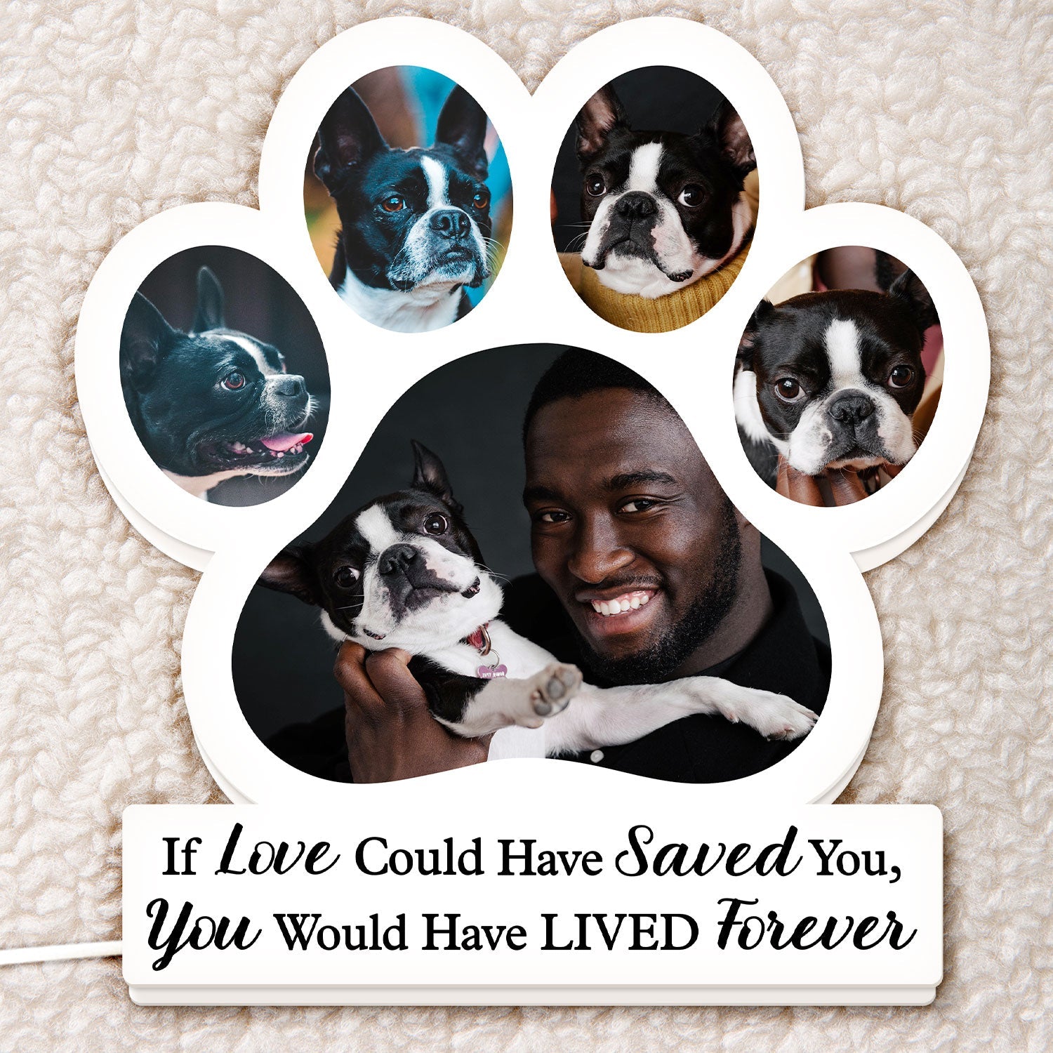 Custom Photo You Were My Favorite Hello And My Hardest Goodbye - Memorial Gift For Pet Lovers, Dog Mom, Dog Dad, Cat Mom, Cat Dad - Personalized Custom Shaped Photo Light Box
