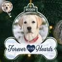 Christmas,Dog Lovers,Sad,Memorial,Custom Photo - Custom Photo Forever In Our Hearts - Personalized Custom Shaped Acrylic Ornament