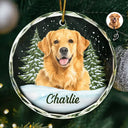 Art Design, Christmas, Cozy, Pet Lovers, Photo - Watercolor - Remove BG - Custom Photo Realistic Watercolor Art Dog Cat Pet - Personalized Circle Glass Ornament