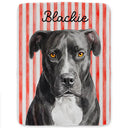 Art Design,Playful,Pet Lovers,Photo - Vivid Watercolor Art - Custom Photo Vivid Watercolor Art Happy Dog Cat Pet Stripe - Personalized Fleece Blanket, Sherpa Blanket