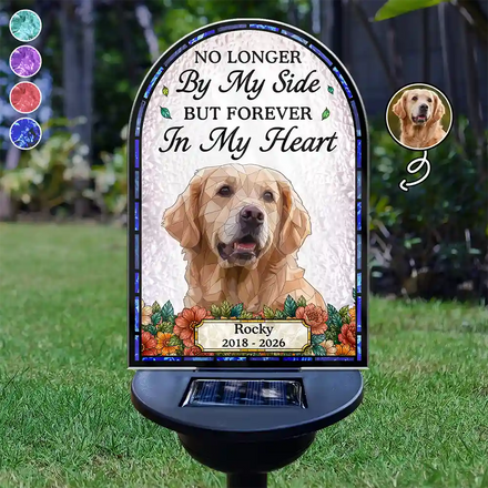 Custom Photo Stained Glass Memorial Pet Forever In My Heart Always Loved - Personalized Solar Light