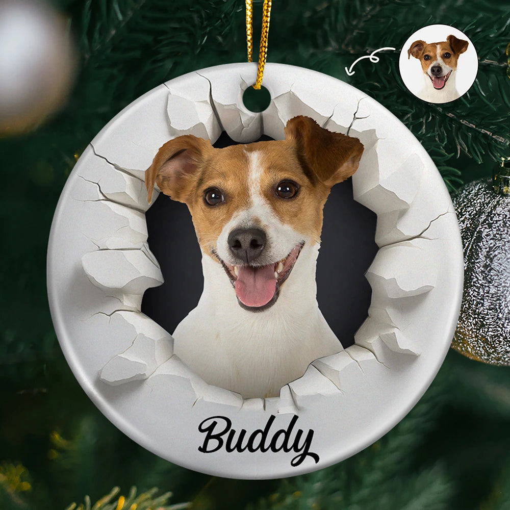 Custom Photo 3D Effect Snow Funny Dog Cat Pet - Personalized Circle Ceramic Ornament