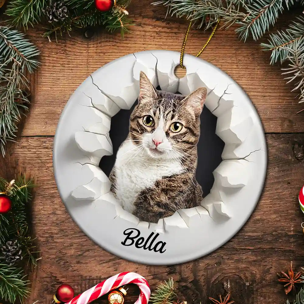 Christmas, Happy, Pet Lovers, Dog Lovers, Cat Lovers - Custom Photo 3D Effect Snow Funny Dog Cat Pet - Personalized Circle Ceramic Ornament