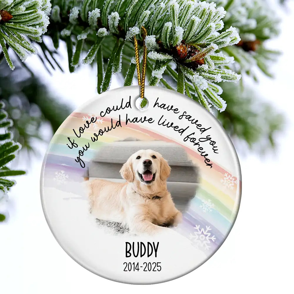 Pet Lovers,Pet Mom,Pet Dad,Pet Couple,Dog Lovers,Dog Mom,Dog Dad,Dog Couple,Cat Lovers,Cat Mom,Cat Dad,Cat Couple,Memorial,Sad,Christmas - Custom Photo A Best Friend Is Never Forgotten - Personalized Circle Ceramic Ornament