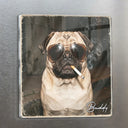 Custom Photo Cool Street Pet Pet Portrait - Personalized Acrylic Magnet - Custom Photo Cool Street Pet Pet Portrait - Personalized Acrylic Magnet