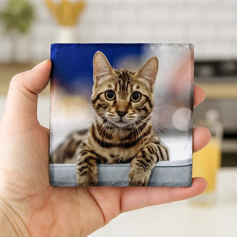 Gift For Couples,Gift For Husband,Gift For Wife,Gift For Boyfriend,Gift For Girlfriend,Old Couples,Happy,Family,Pet Lovers,Gift For Bestie - Custom Photo Couple Bestie Family Pet - Personalized Slate Coaster