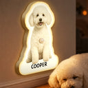 Pet Lovers,Pet Mom,Pet Dad,Gift For Yourself,Gift For Men,Gift For Women,Happy,Photo,Playful - Custom Photo Cute Funny Dog Cat - Personalized Motion Sensor Night Light