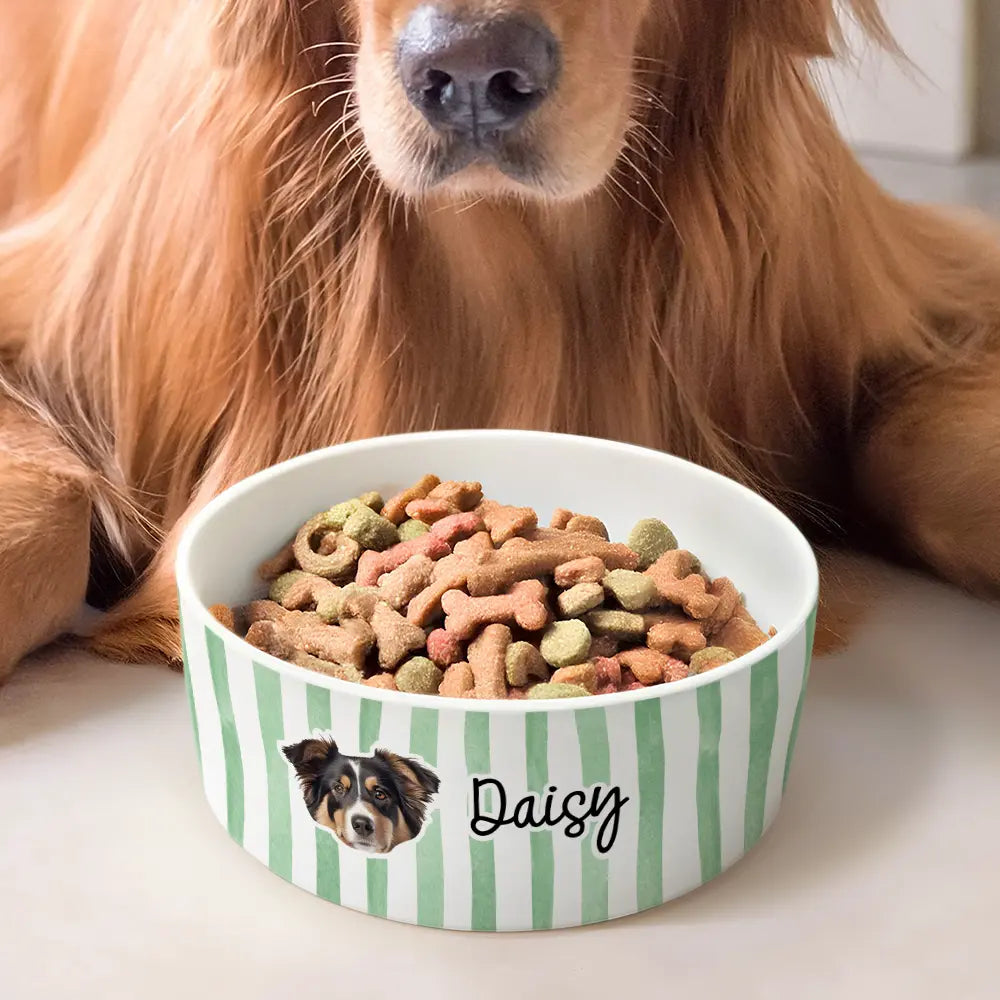 Pet Lovers, Pet Mom, Pet Dad, Pet Couple, Dog Lovers, Cat Lovers - Custom Photo Dog Cat Face With Stripe Pattern - Personalized Pet Bowl