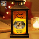 Pet Lovers,Cat Lovers,Dog Lovers,Sad,Memorial - Custom Photo Forever Loved Memorial Dog Cat Family - Personalized LED Candle Lantern