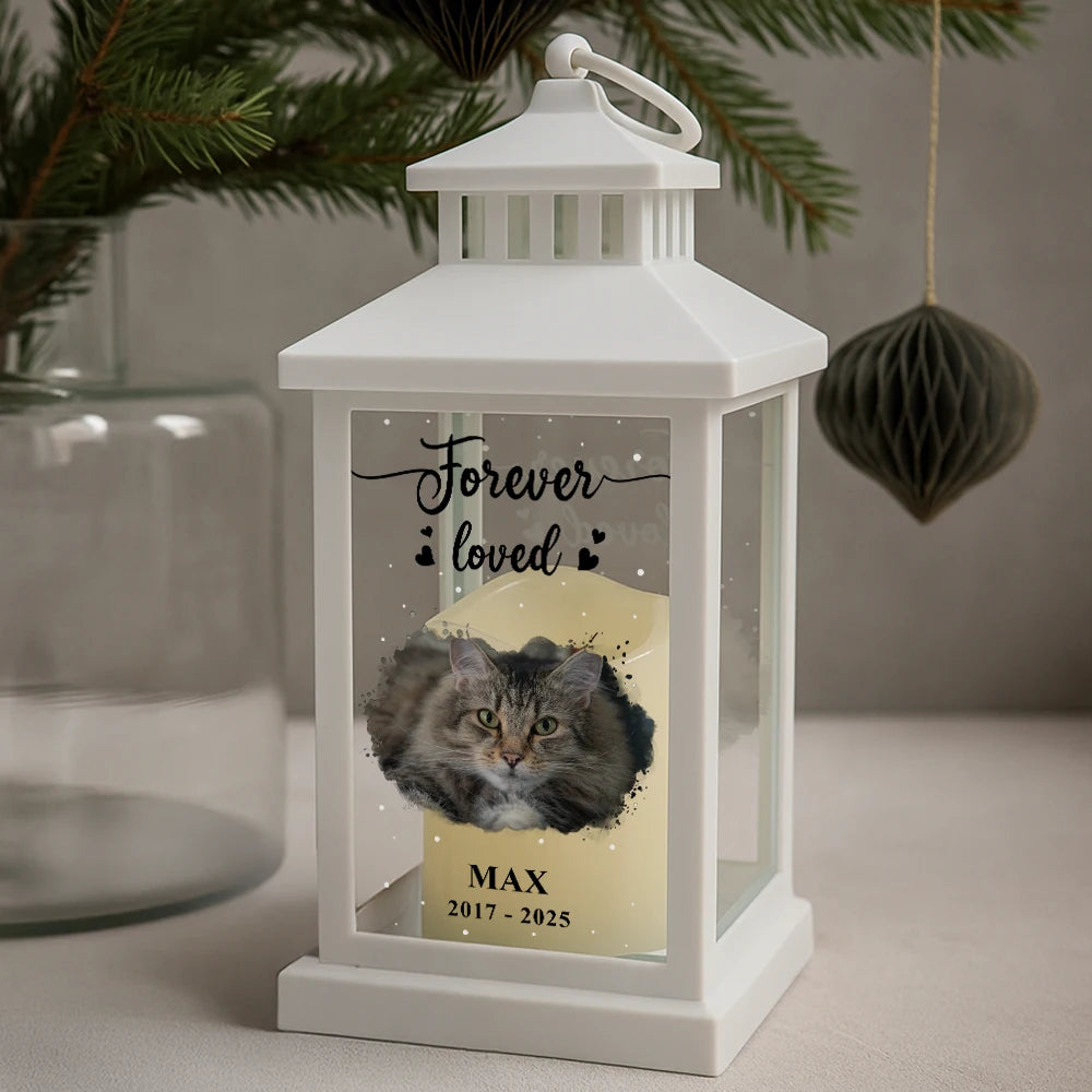 Pet Lovers,Cat Lovers,Dog Lovers,Sad,Memorial - Custom Photo Forever Loved Memorial Dog Cat Family - Personalized LED Candle Lantern