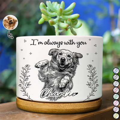Pet Memorial Gifts - New Arrivals