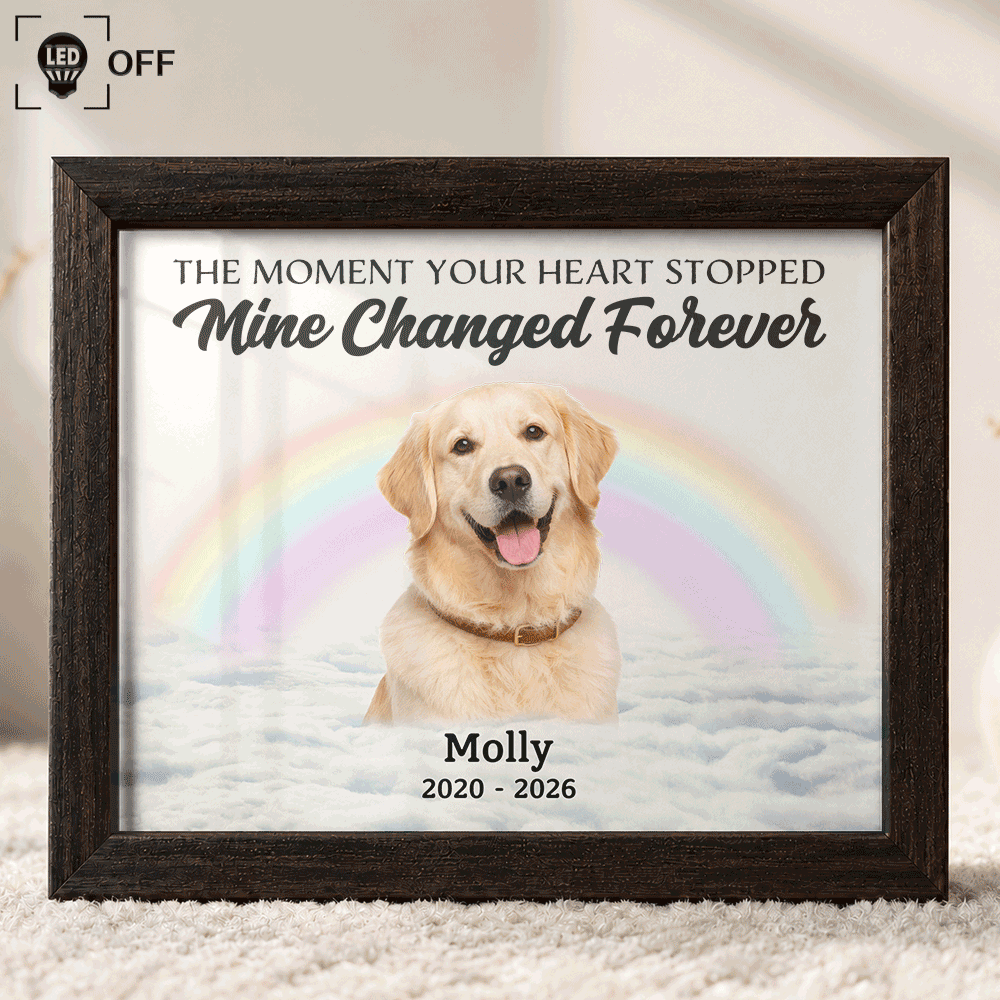 Christmas,Custom Photo,Sympathetic,Pet Lovers,Memorial,Remove BG Photo - Custom Photo Memorial Forever In My Heart - Personalized LED Light Shadow Box