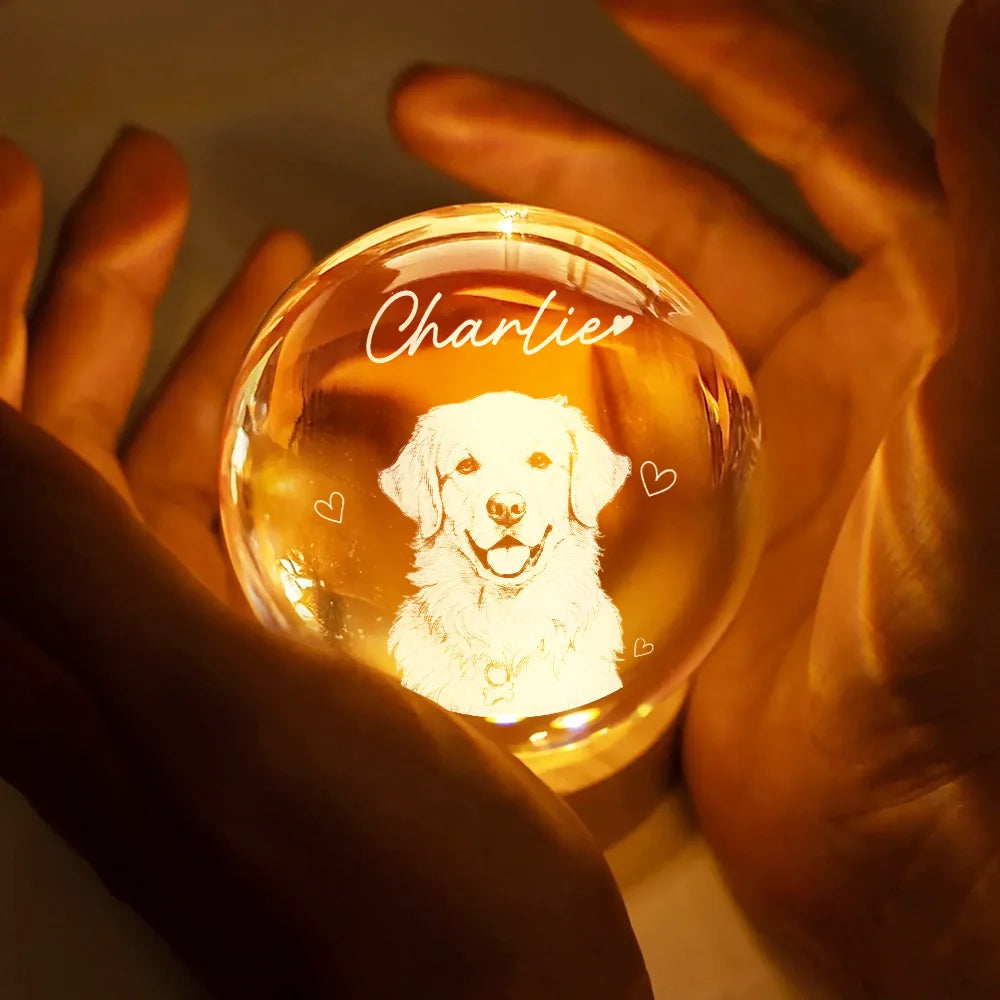 Gift For Father,Gift For Grandpa,Pet Lovers,Pet Mom,Pet Dad,Dog Lovers,Dog Mom,Dog Dad,Cat Lovers,Cat Mom,Cat Dad,Non-Eng,Photo - Pencil Sketch (White BG),Humorous - Custom Photo Pencil Sketch Art Family Dog Cat Portrait - Personalized Crystal Globe Lamp