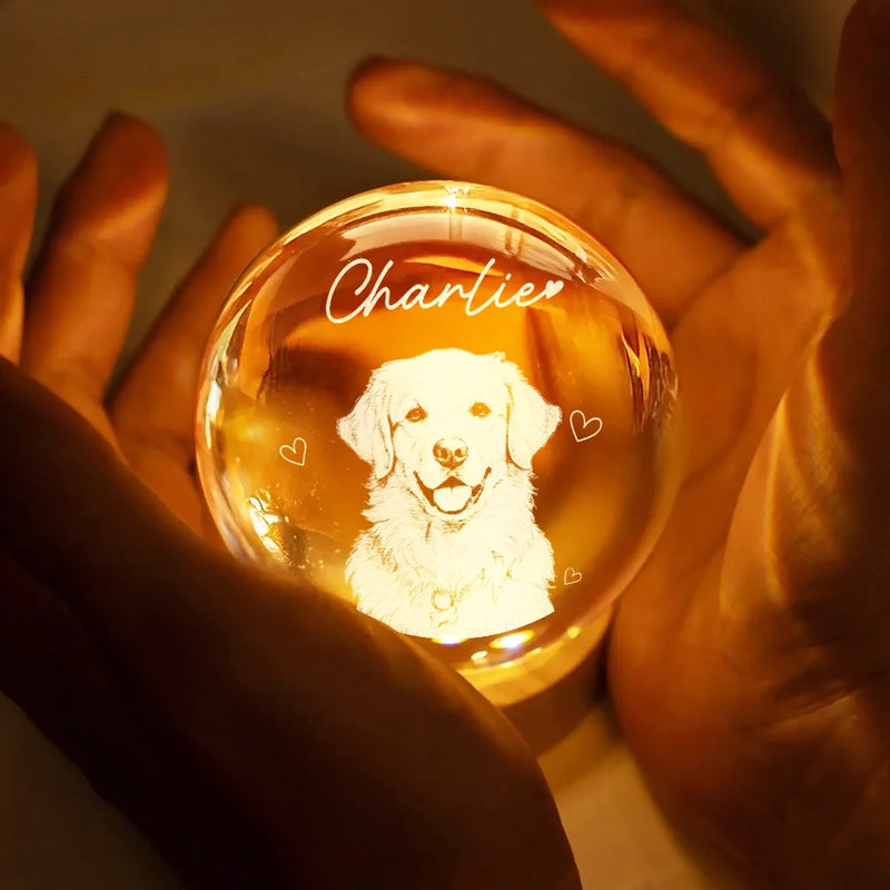 Gift For Father,Gift For Grandpa,Pet Lovers,Pet Mom,Pet Dad,Dog Lovers,Dog Mom,Dog Dad,Cat Lovers,Cat Mom,Cat Dad,Non-Eng,Photo - Pencil Sketch (White BG),Humorous - Custom Photo Pencil Sketch Art Family Dog Cat Portrait - Personalized Crystal Globe Lamp