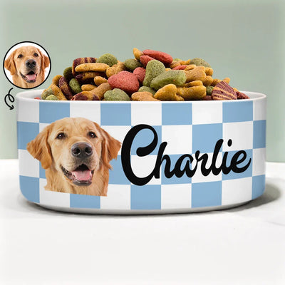 Pet Bowl