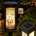 Art Design,Christmas,Sympathetic,Pet Lovers,Memorial,Photo - Stained Glass - Custom Photo Stained Glass Memorial Pet Forever In My Heart Always Loved - Personalized Solar Garden Light