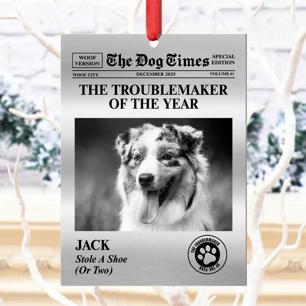 Pet Lovers,Christmas,Funny,Custom Photo - Custom Photo The Dog Times, The Meow Times - Personalized Metal Ornament