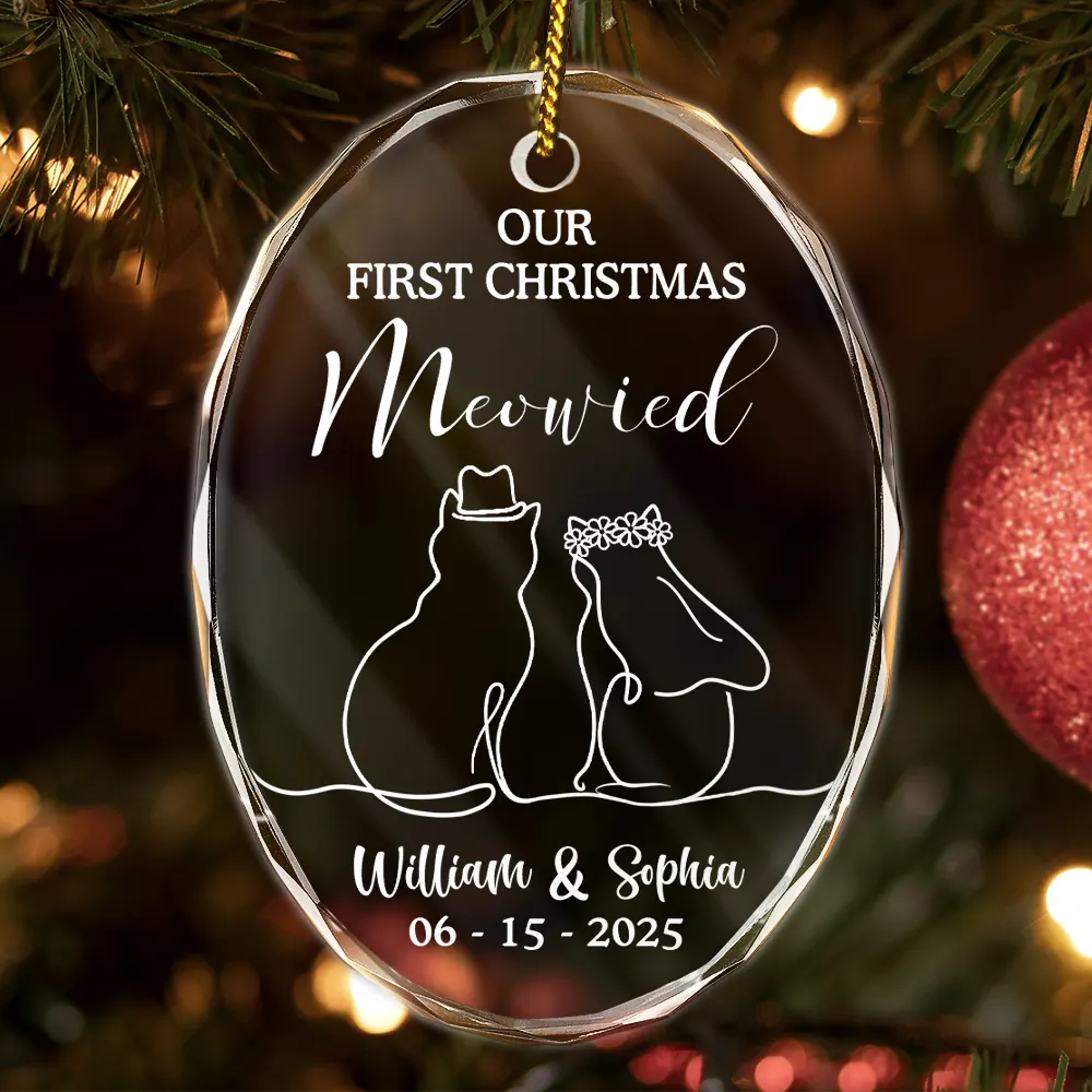 Our First Christmas Meowied Cat Lover Couple - Personalized Oval Glass Ornament
