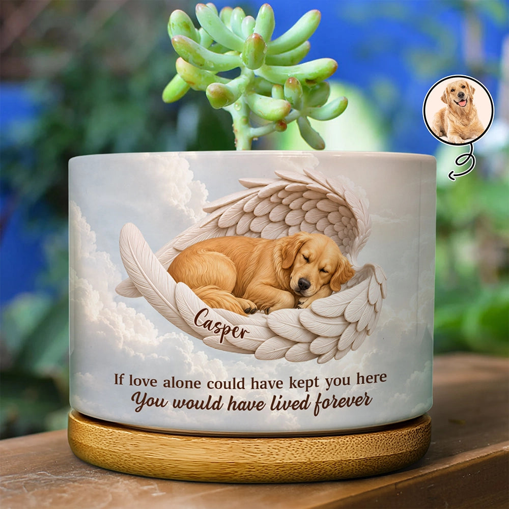 Art Design,Healing,Pet Memorial,Pet Lovers,Memorial,Photo - Sleeping Dog Cat Baby - Custom Photo Sleeping Angel If Love Alone Could Have Kept You Here Dog Cat Remembrance - Personalized Plant Pot