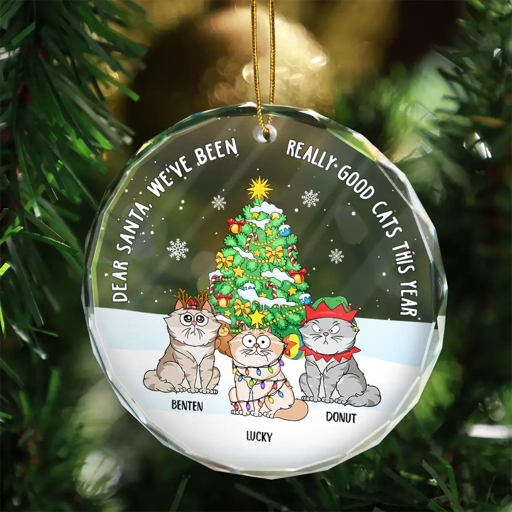 Christmas Funny Cartoon Cats On The Naughty List - Personalized Circle Glass Ornament