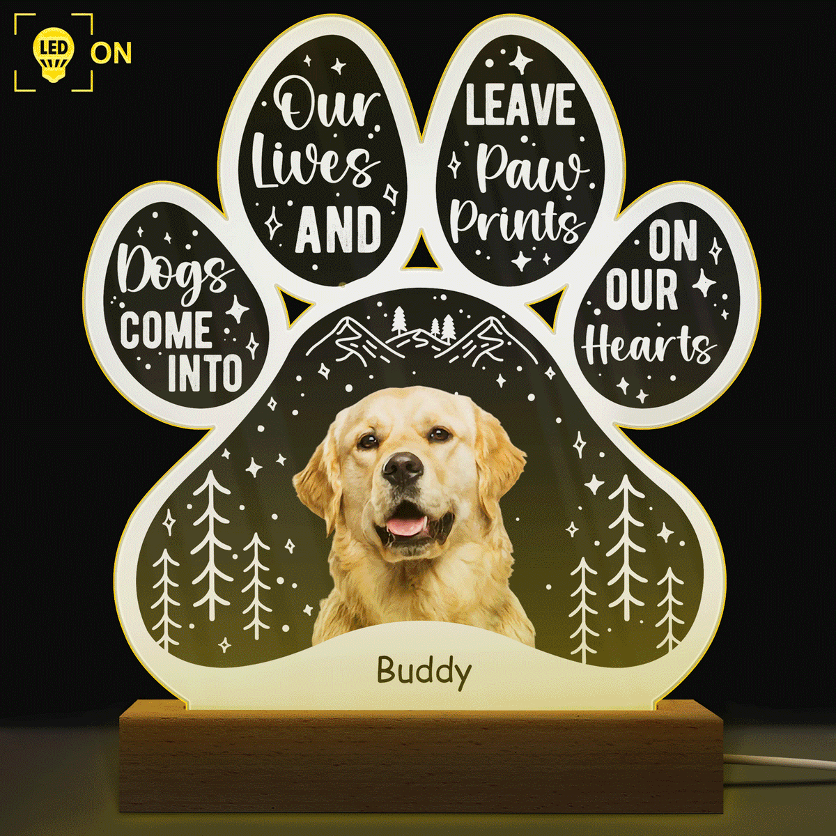 Custom Photo Dogs Come Into Our Lives - Grief, Sympathy, Memorial Gift For Family, Remembrance, Dog, Cat, Pet Owner - Personalized Custom 3D Led Light Wooden Base