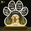 Custom Photo Dogs Come Into Our Lives - Grief, Sympathy, Memorial Gift For Family, Remembrance, Dog, Cat, Pet Owner - Personalized Custom 3D Led Light Wooden Base