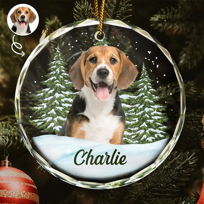 Top Christmas Ornament For Pet Lovers