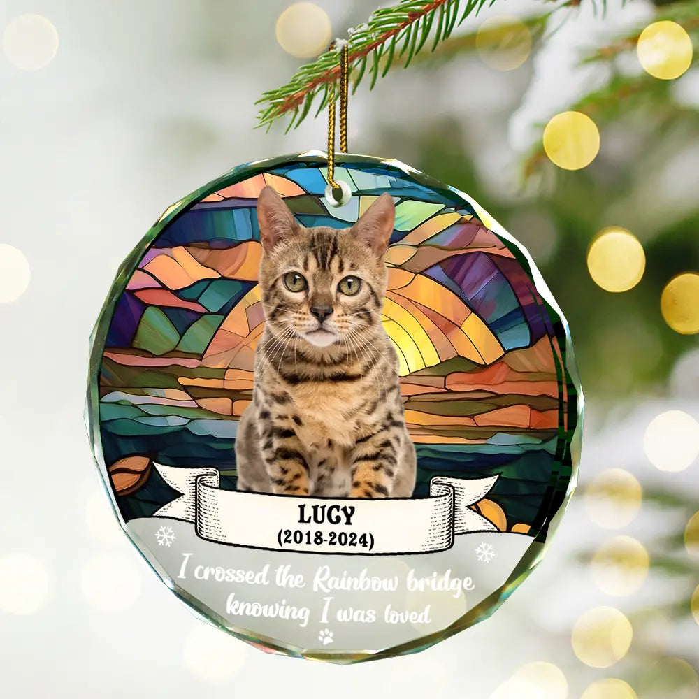 Custom Photo You Were My Favorite Hello And Hardest Goodbye - Personalized Circle Glass Ornament