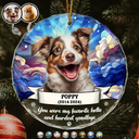 Custom Photo You Were My Favorite Hello And Hardest Goodbye - Personalized Circle Glass Ornament