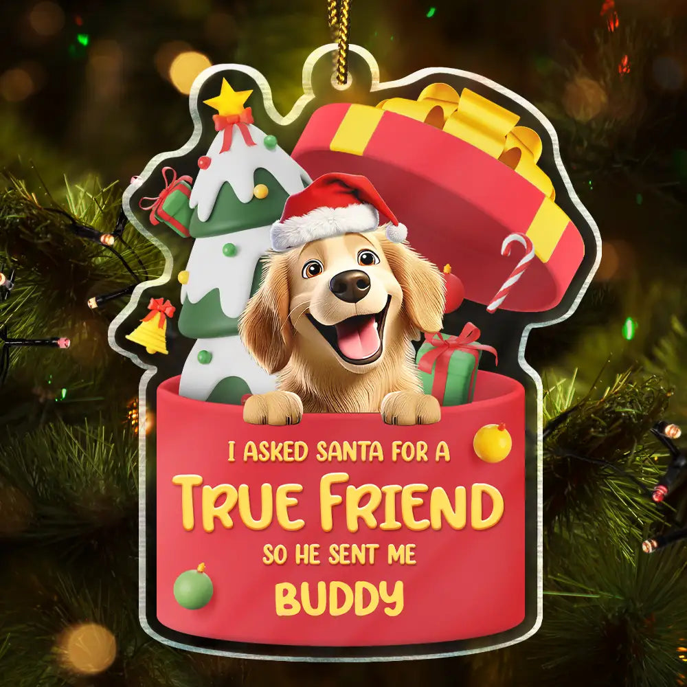 I Asked Santa For A True Friend Dog Cat 3D Effect - Personalized Custom Shaped Acrylic Ornament