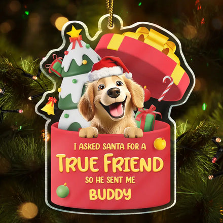 I Asked Santa For A True Friend Dog Cat 3D Effect - Personalized Custom Shaped Acrylic Ornament