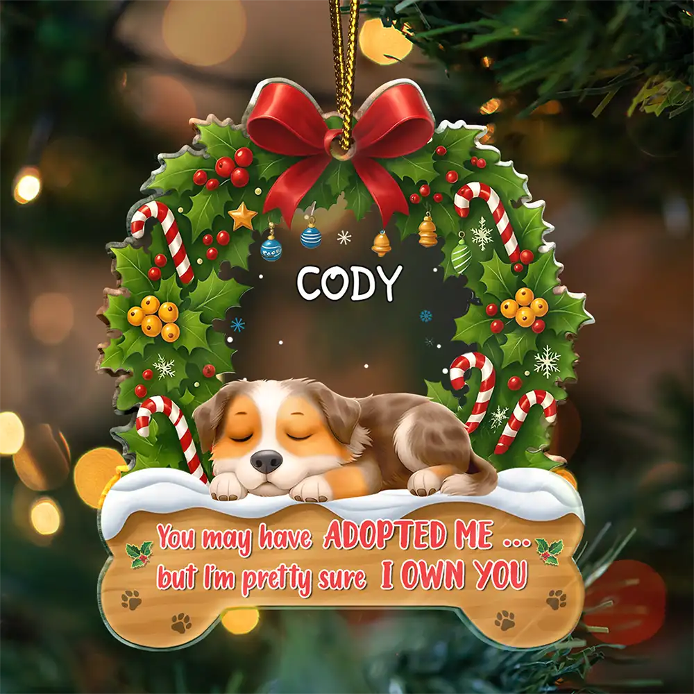 I Own You Christmas - Personalized Custom Shaped Acrylic Ornament