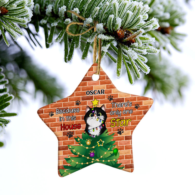 There's Only One Star - Christmas Gift For Cat Lovers - Personalized Custom Star Ceramic Ornament