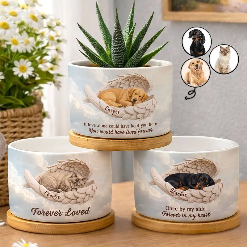 Art Design,Healing,Pet Memorial,Pet Lovers,Memorial,Photo - Sleeping Dog Cat Baby - Custom Photo Sleeping Angel If Love Alone Could Have Kept You Here Dog Cat Remembrance - Personalized Plant Pot