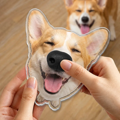 Funny Squishy Gifts