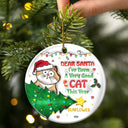 Funny Cartoon Cat On The Naughty List - 3D Inflated Effect Printed Ornament, Personalized Circle Ceramic Ornament