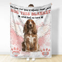 Custom Photo Dog Cat Memorial When You Miss Me Hug This Blanket - Personalized Fleece Blanket, Sherpa Blanket