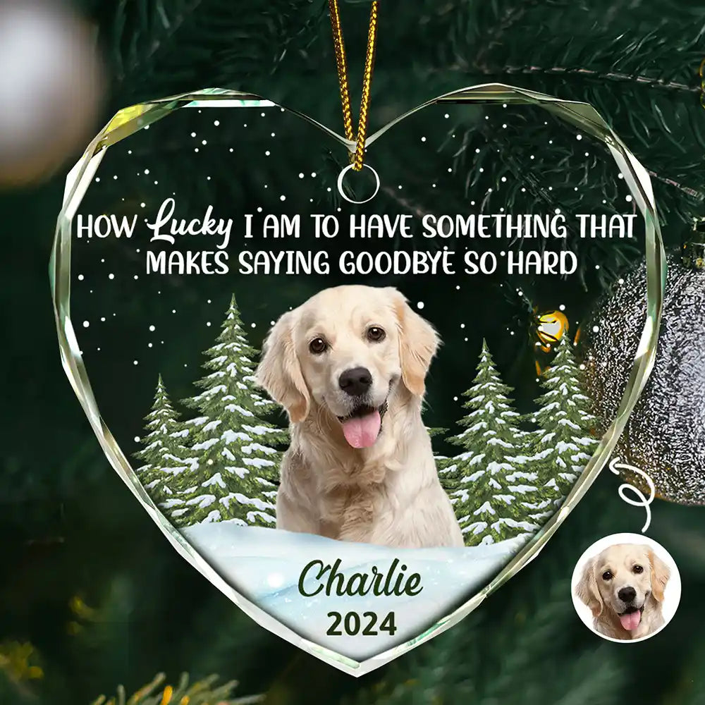 Custom Photo How Lucky I Am Memorial Dog Cat - Personalized Glass Ornament