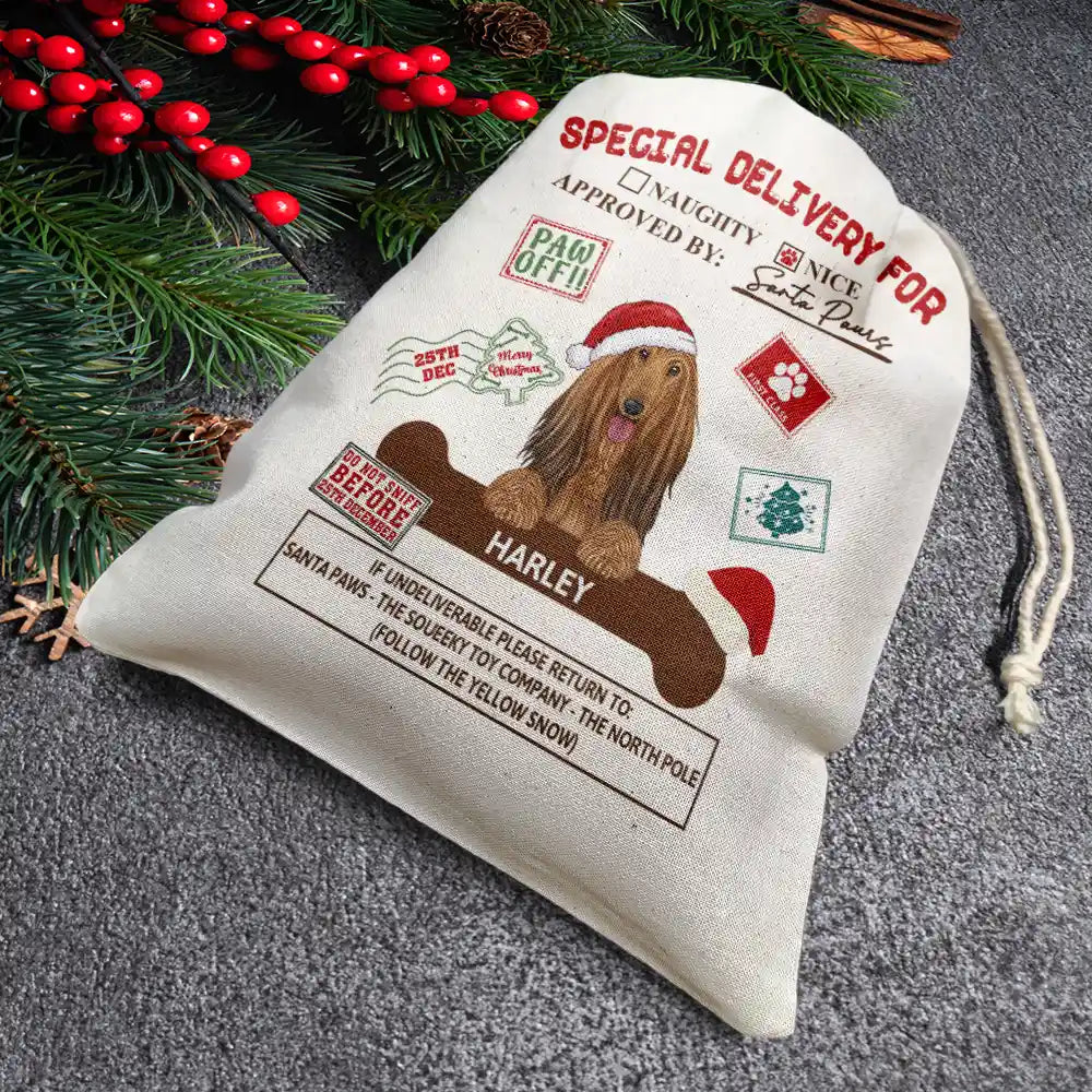Special Delivery From Santa Paws - Personalized Favor Bag