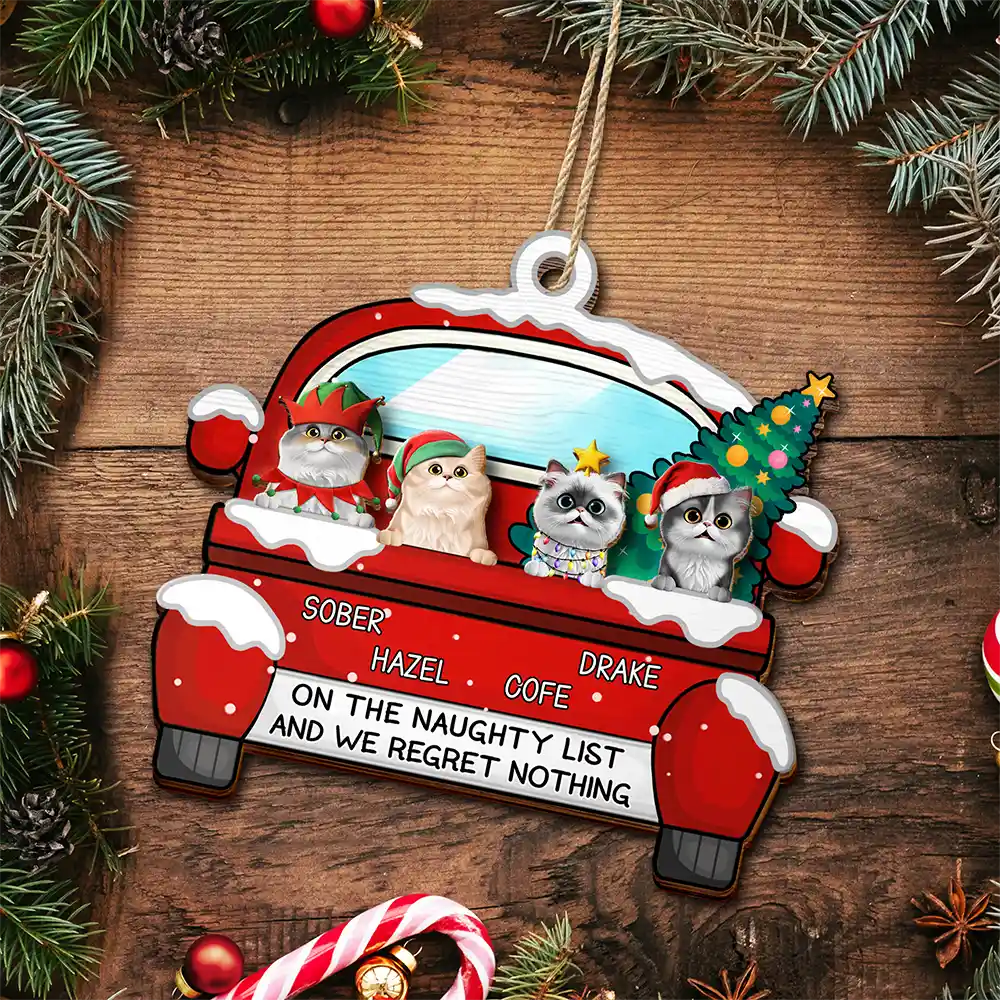 Cat Lovers,Cat Mom,Cat Dad,Funny,Christmas - On The Naughty List - Personalized 2-Layered Wooden Ornament