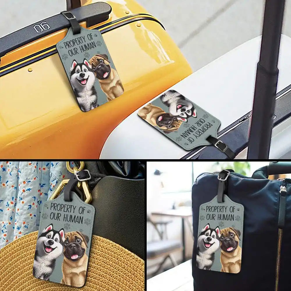 Dog Lovers, Pet Lovers, Travel - Property Of My Human 3D Effect Dogs - Personalized Luggage Tag