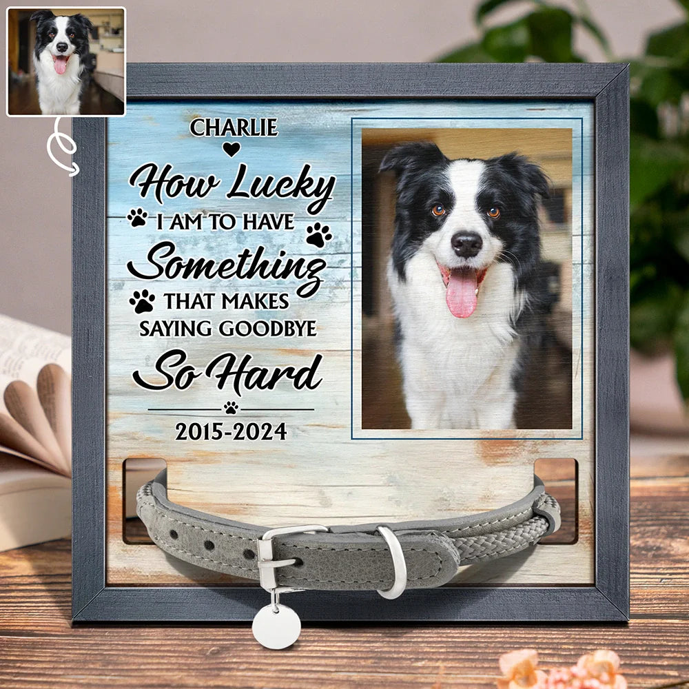 Custom Photo How Lucky I Have Pet Memorial - Personalized Pet Loss Sign, Collar Frame