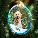 Custom Photo Christmas Pet Lovers - Personalized Stained Glass Ornament