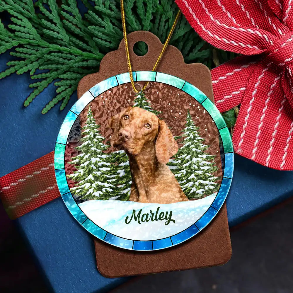 Custom Photo Christmas Pet Lovers - Personalized Stained Glass Ornament