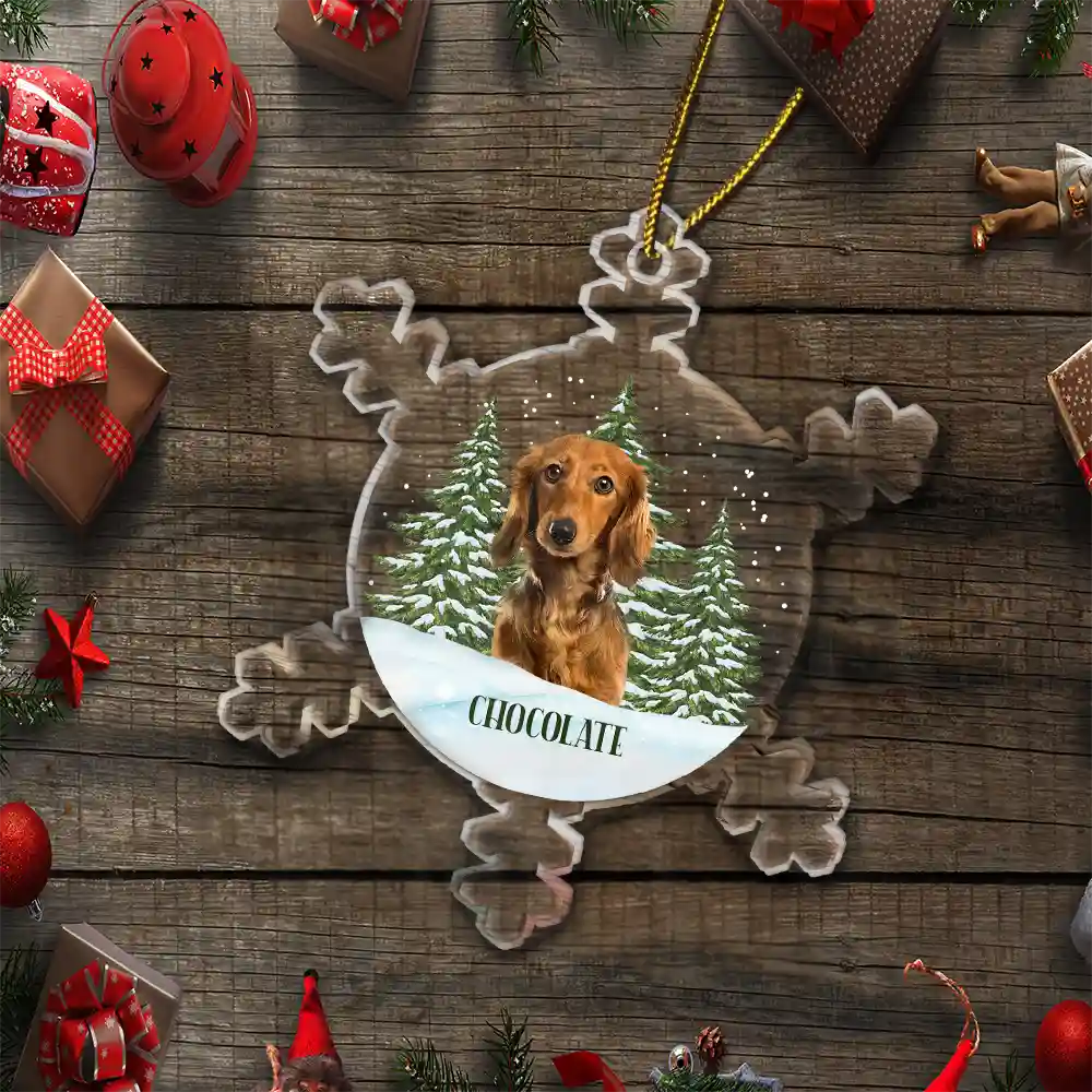 Christmas Custom Photo Family Pet Face - Personalized Custom Shaped Acrylic Ornament
